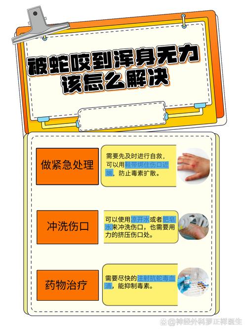 2025新奥资料正版大全和被蛇咬反抓蛇再遭咬与被蛇咬反抓蛇再遭咬伤