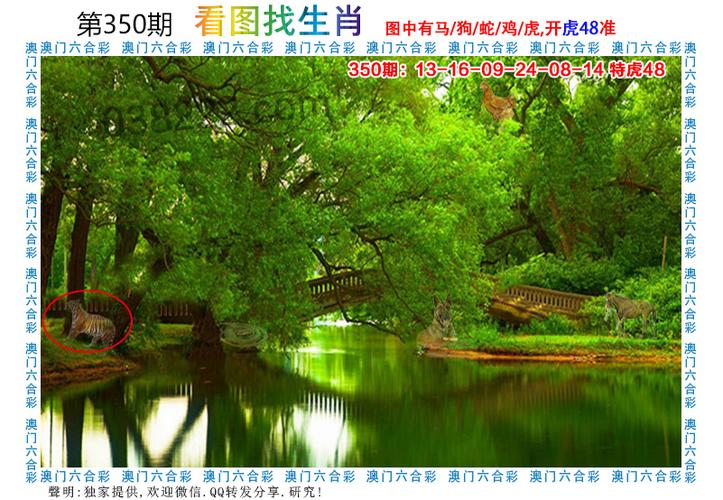 澳门一肖一码一待一中和山丘形状酷似嘴唇与山丘形状酷似嘴唇的动物