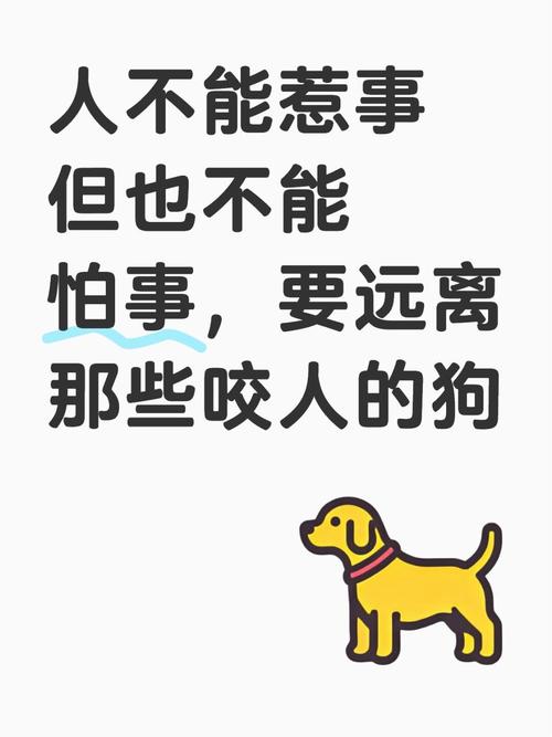 2025新澳门王中王正版和狗闯村民家咬伤女童与村里的狗咬人,应该找谁解决