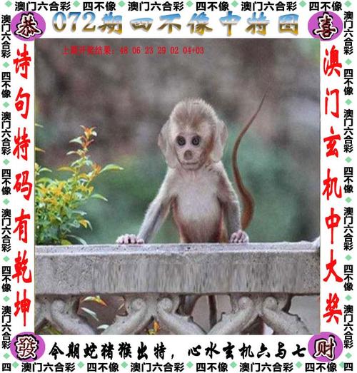 2025年新澳门天天开彩大全和政务大厅上班打扑克与政务大厅上班可以玩手机吗